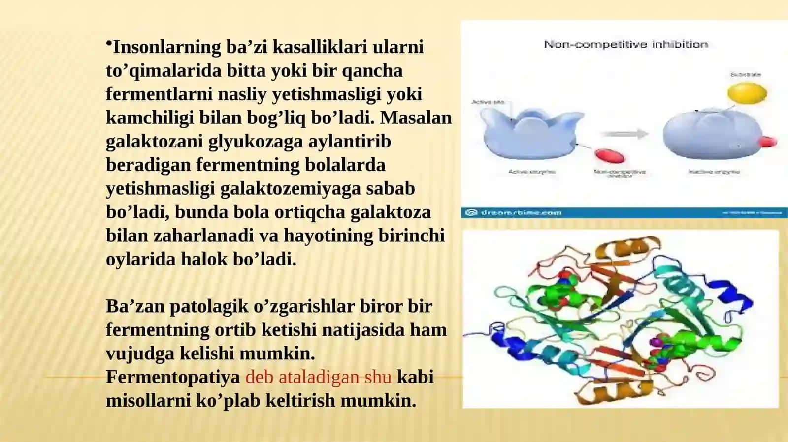 Fermentlar faolligining boshqarilishi 3