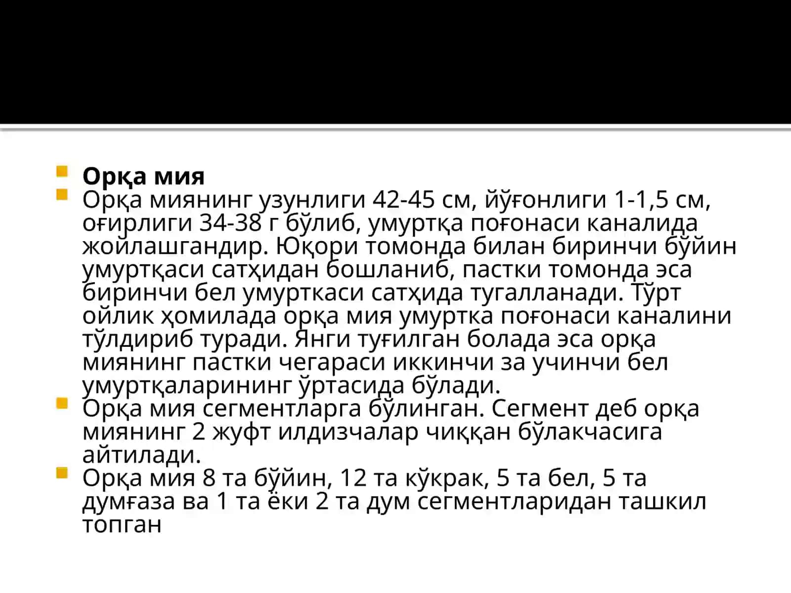 Орқа миянинг катта ярим шарлари 3