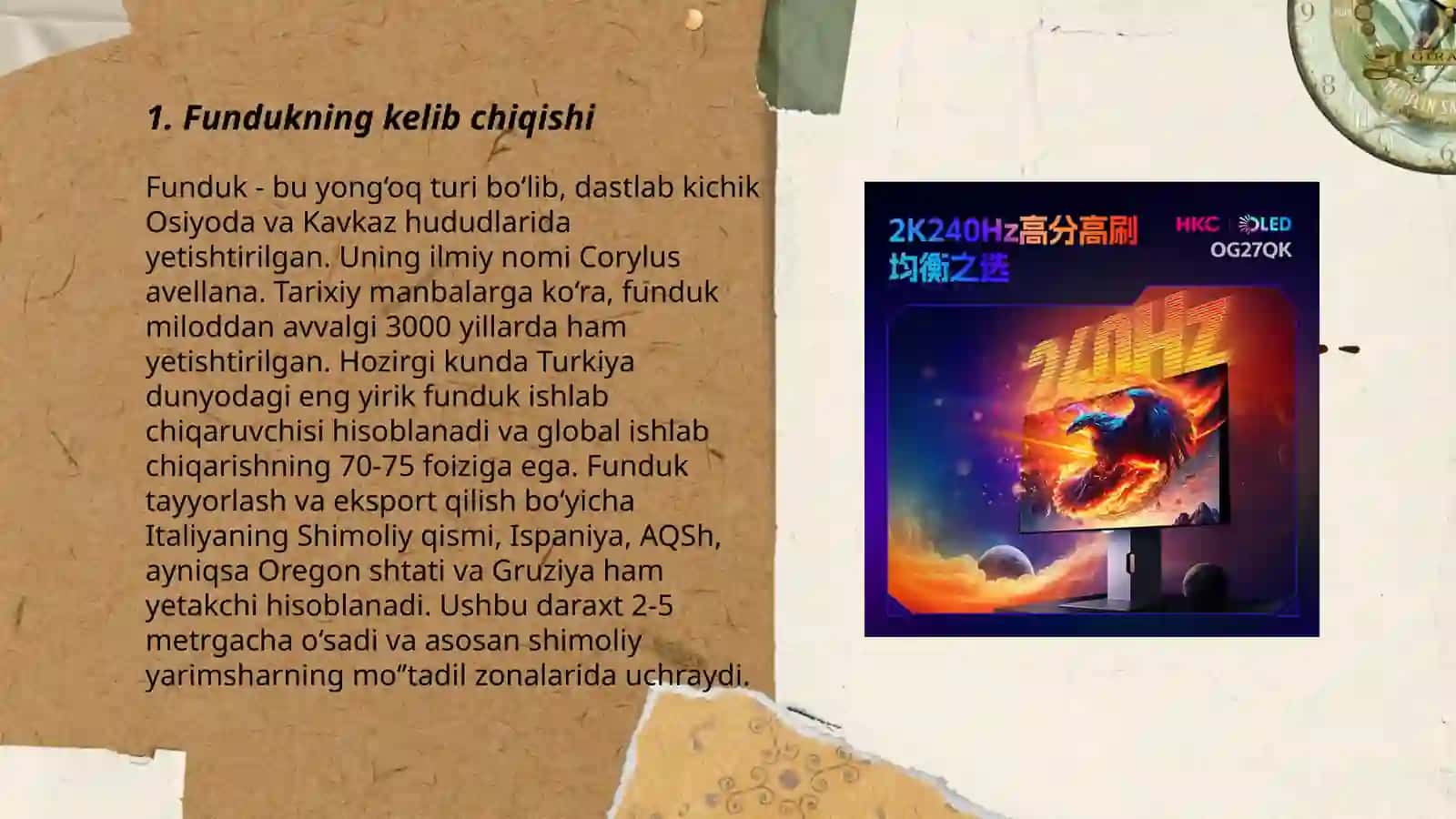 Funduk yang'og' 3
