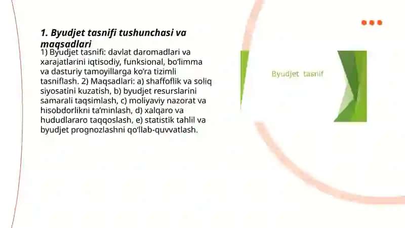 Byudjet tasnifi 3