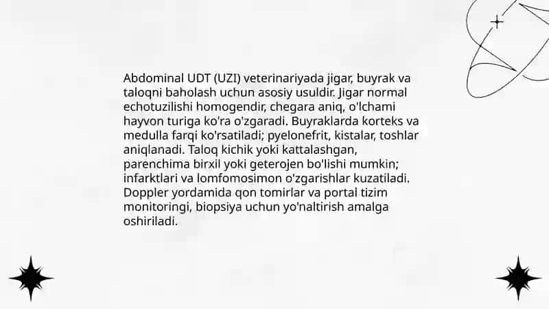 Veterinariyada UDT(uzi) diagnostikasi 3