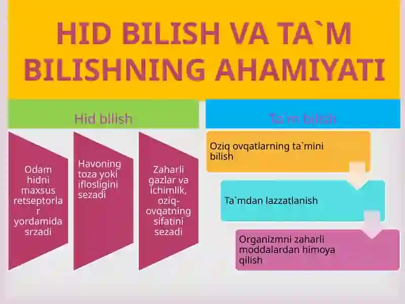 HID BILISH VA TA`M BILISH ORGANLARI 3