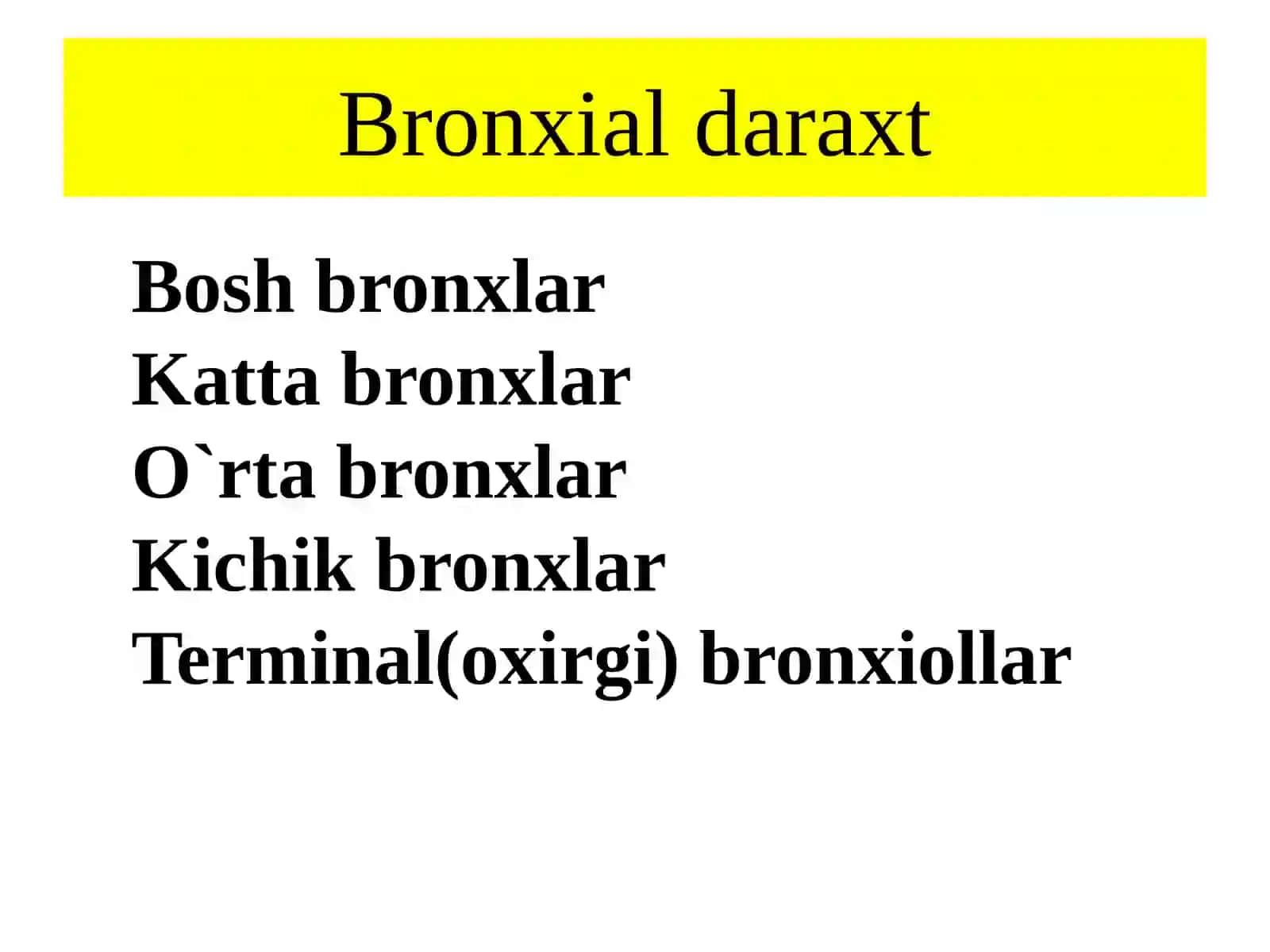 NAFAS OLISH SISTEMASI ma’ruzarejasi 3