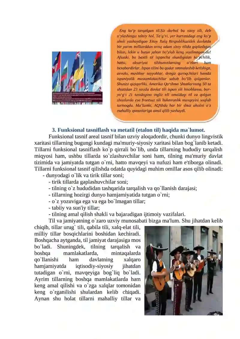 Tillarni Tasniflash 3