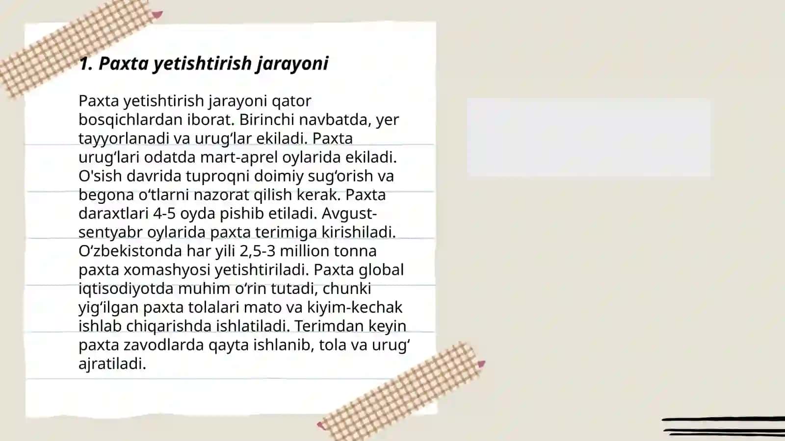 Paxta yetishtirish jarayoni 3