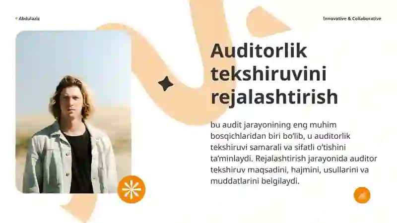 Auditorlik tekshiruvida rejalashtirish 3