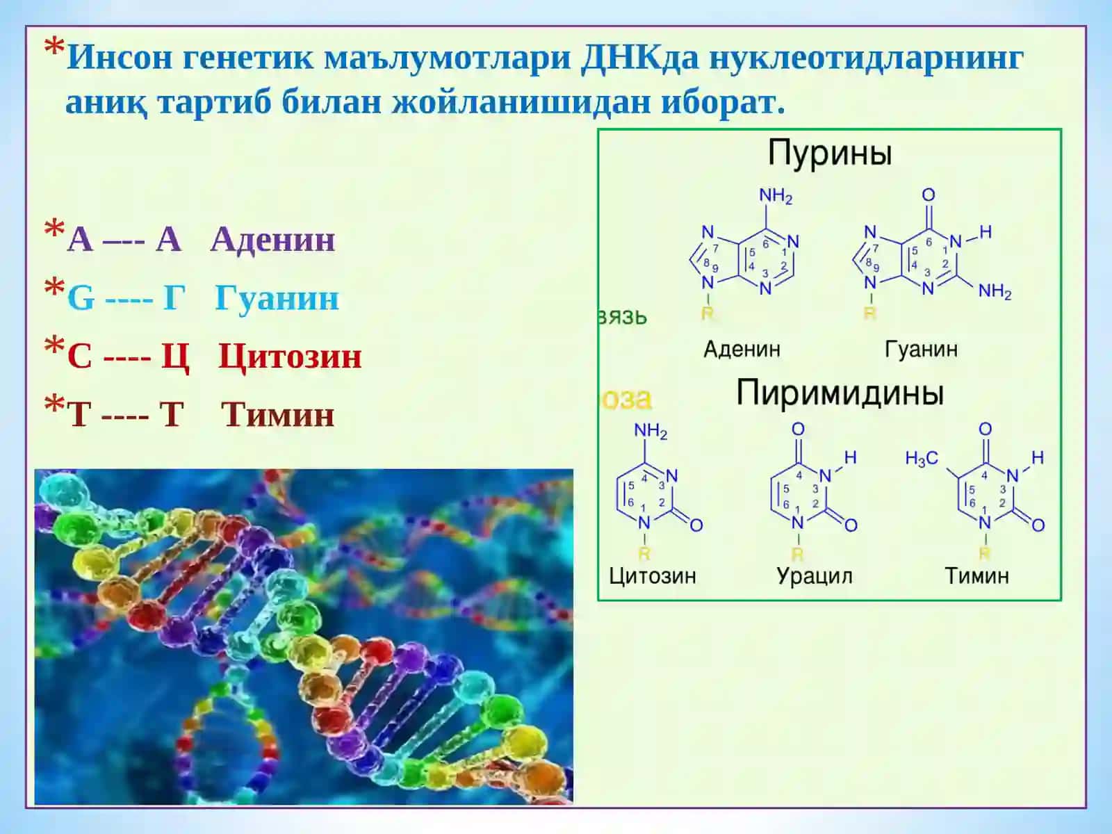 Касалликлар ривожланишида генетик бузилишлар 3