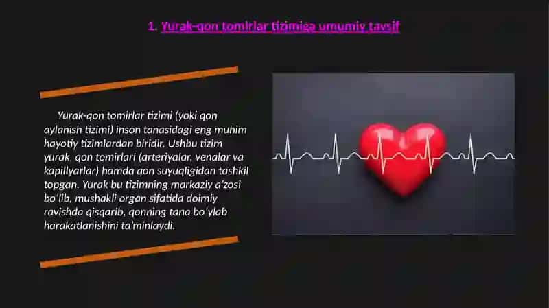 Yurak-qon tomirlar tizimini anatomik tarkibi. Yurakning tuzilishi. Katta va kichik qon aylanish doirasi 3