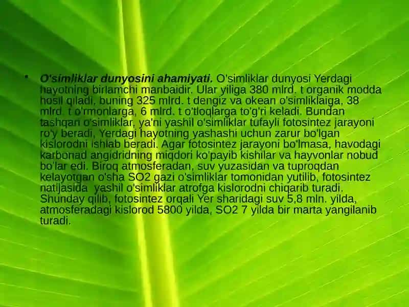 O'simliklar Dunyosi 3