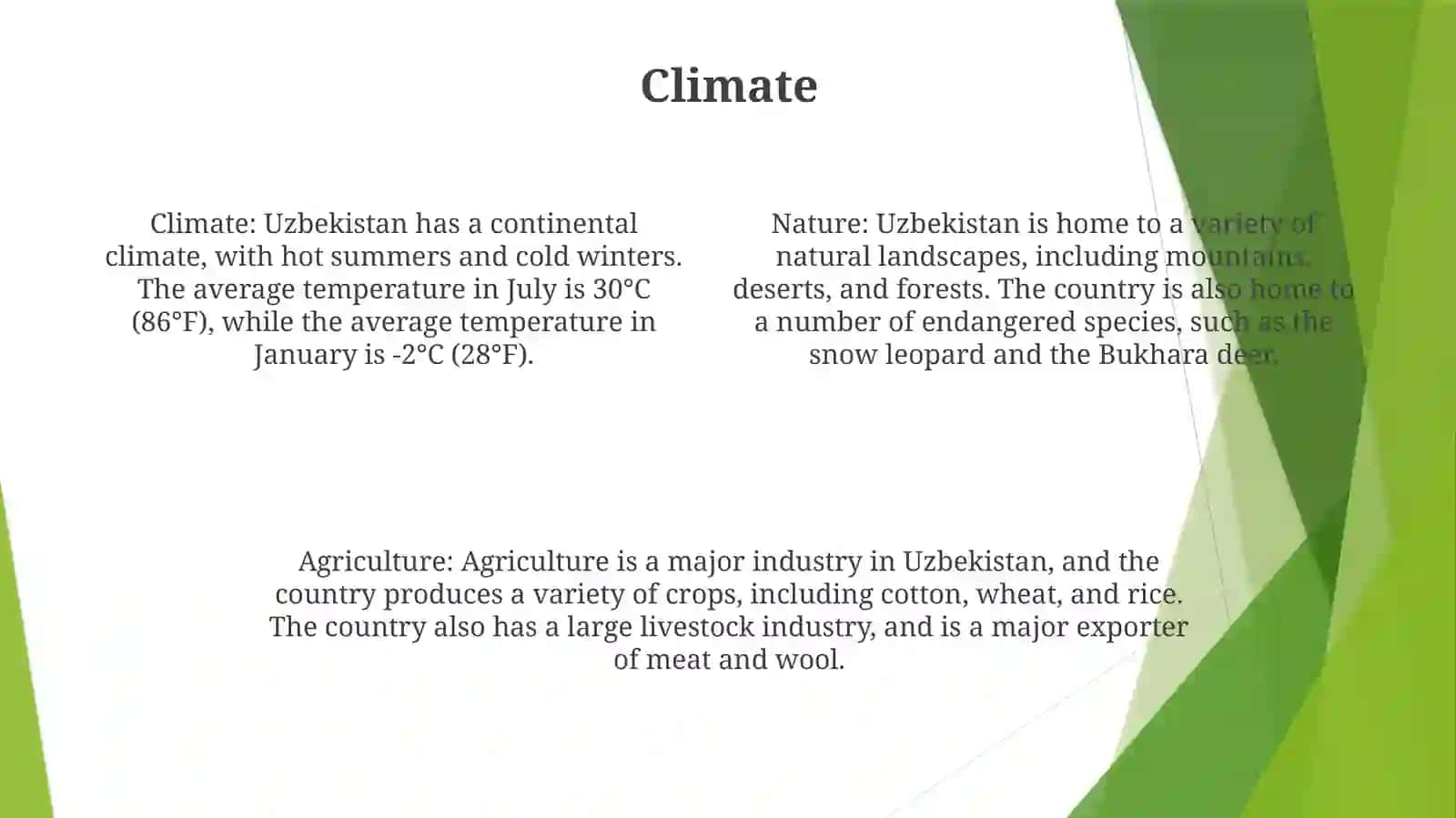 Nature Of Uzbekistan 3
