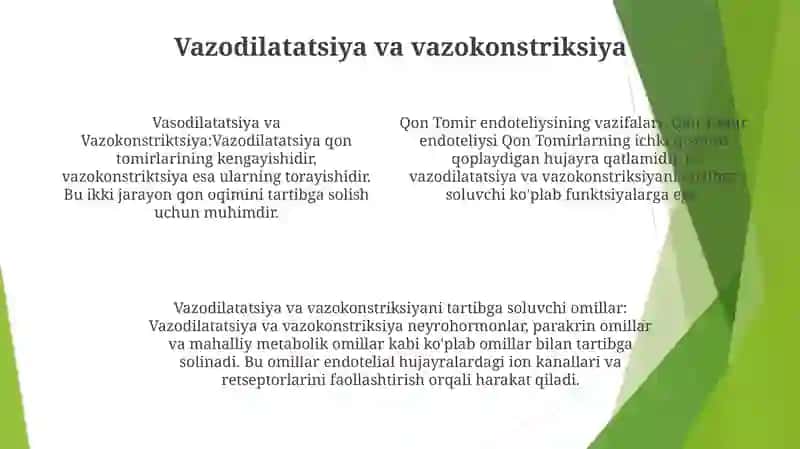 Qon Tomir Endoteliysining Funksiyalari 3