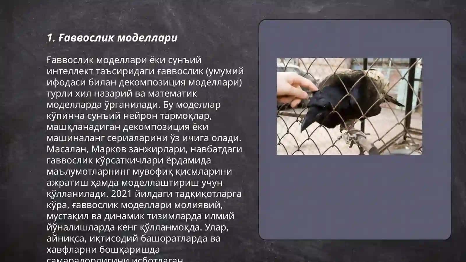 Ғаввослик моделлари 3