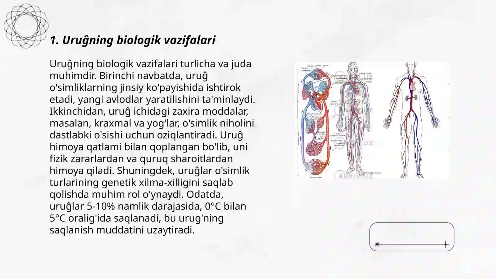 Uruĝ va mevaning tuzilishi 3