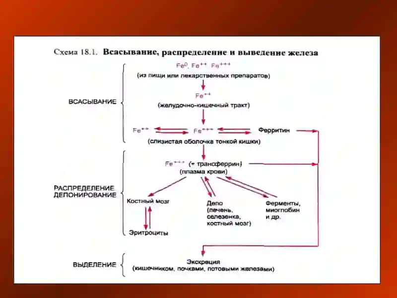 ҚОН СИСТЕМАСИГА ТАЪСИР ЭТУВЧИ ВОСИТАЛAР 3