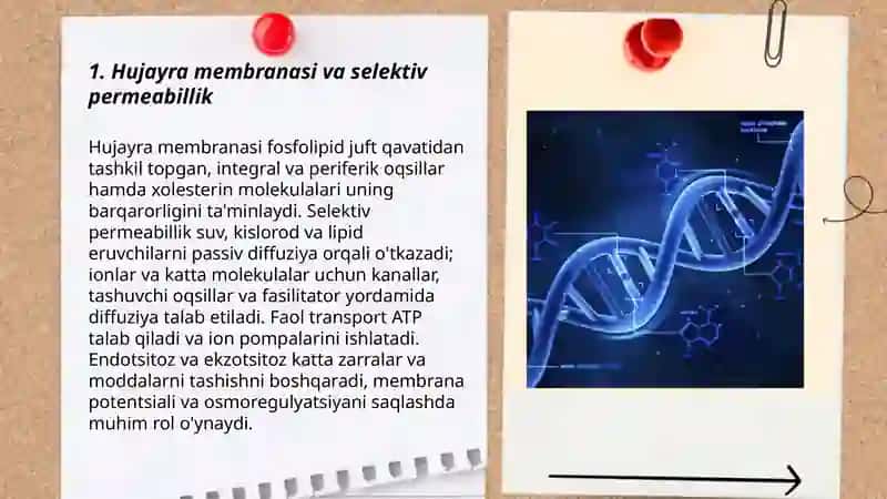 Hujayrada modda va energiya oqimi 3