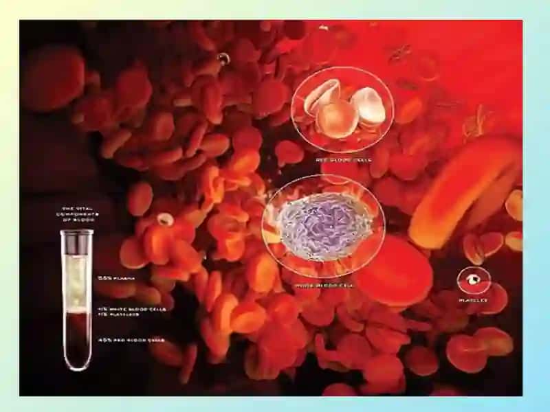 Plasma 3