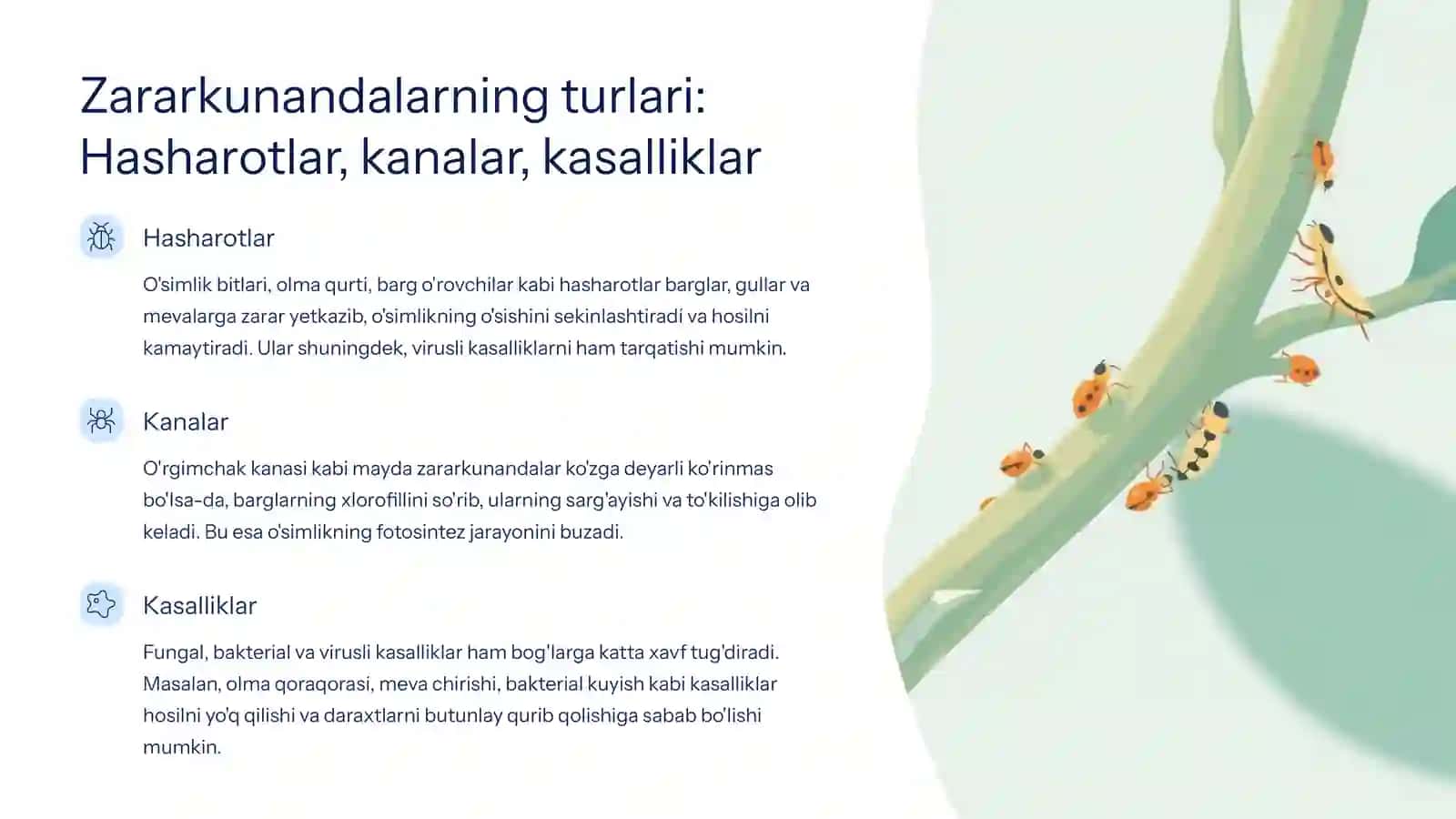 Boglarda zararkunandalarga qarshi... 3