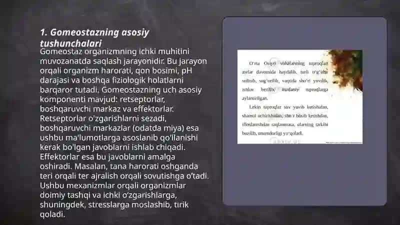 Gomeostaz haqida tushuncha 3