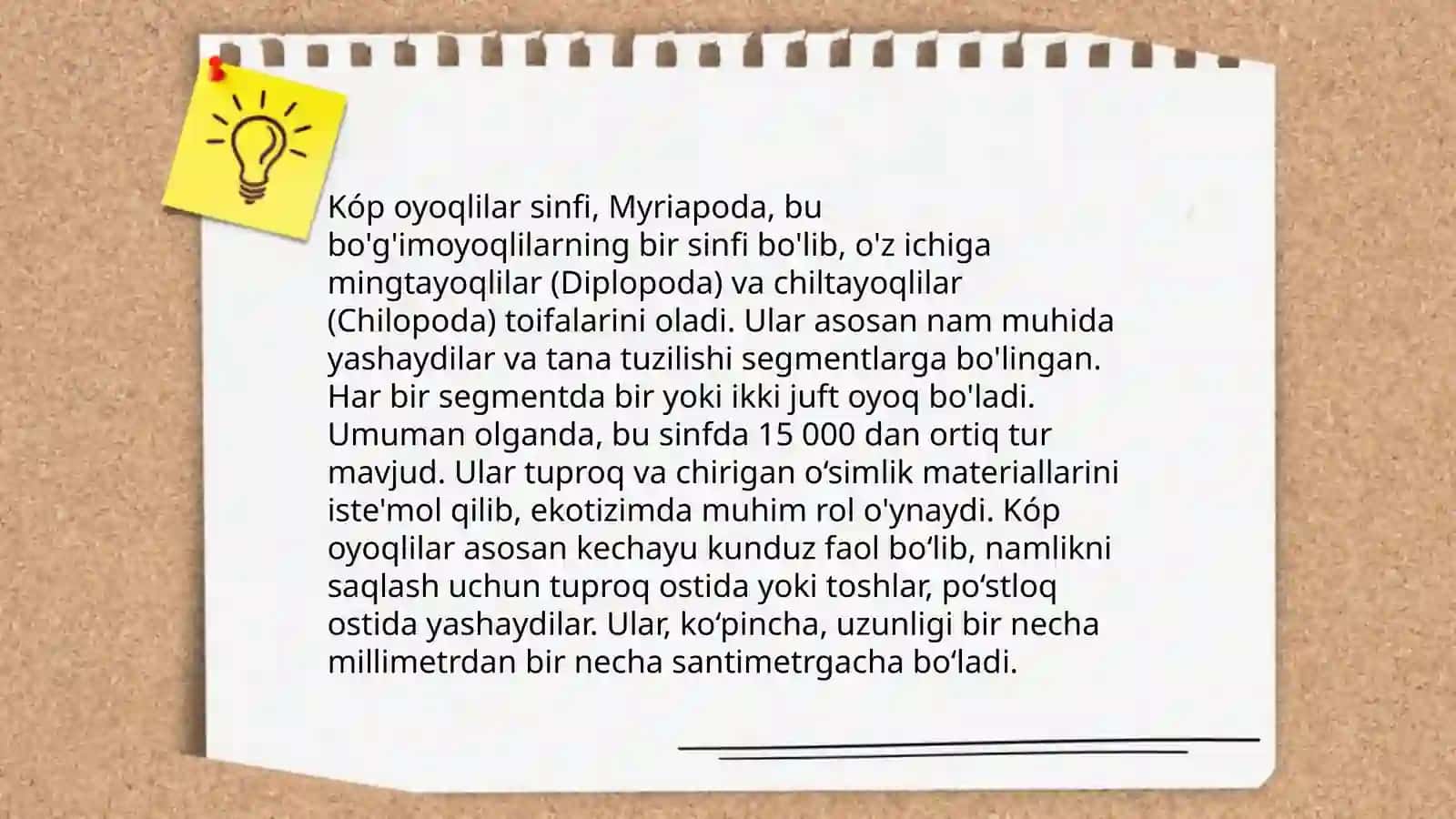 Kóp oyoqlilar sinfi 3