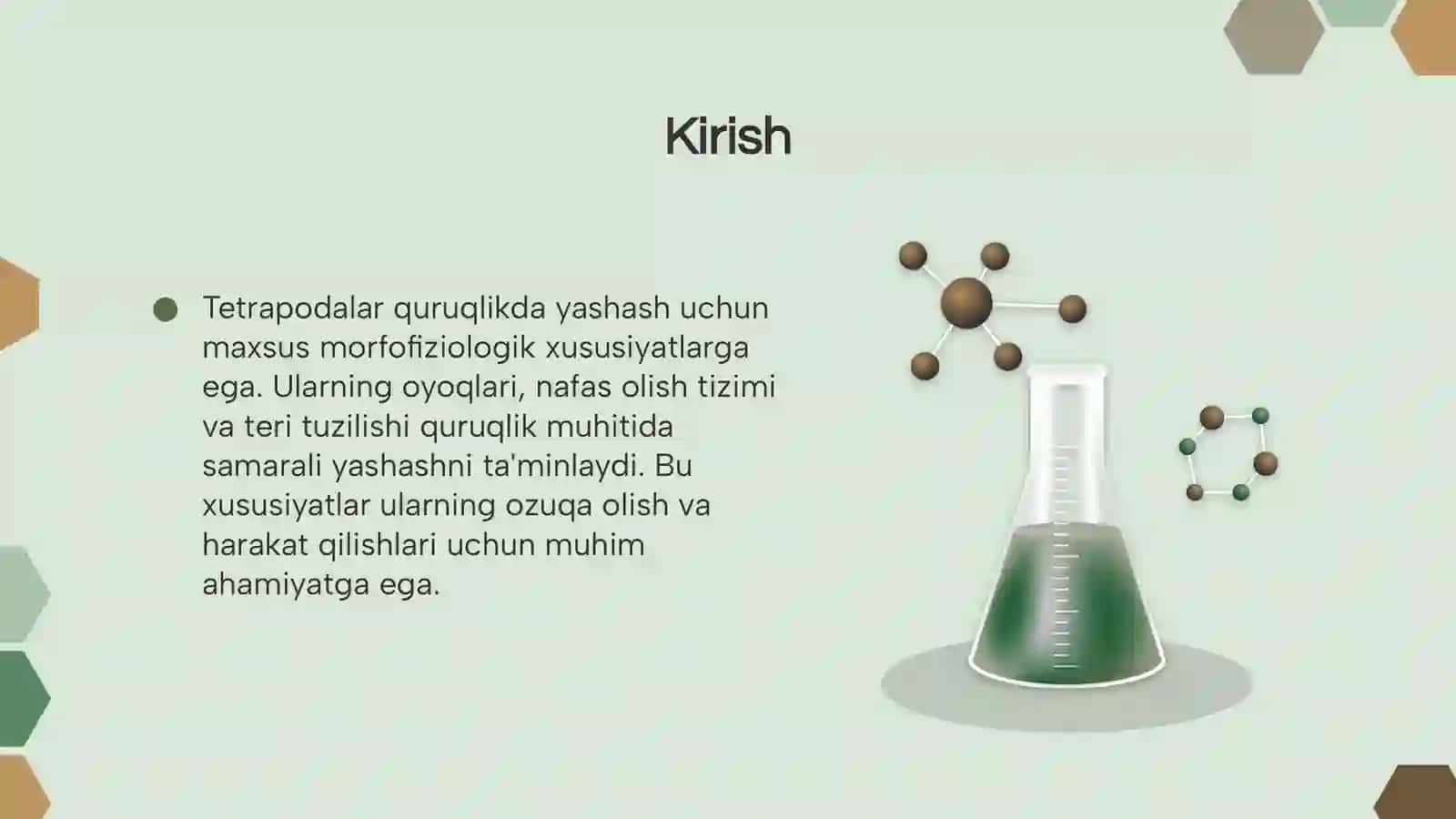 Tetrapodalar va morfofiziologik xususiyatlari 3