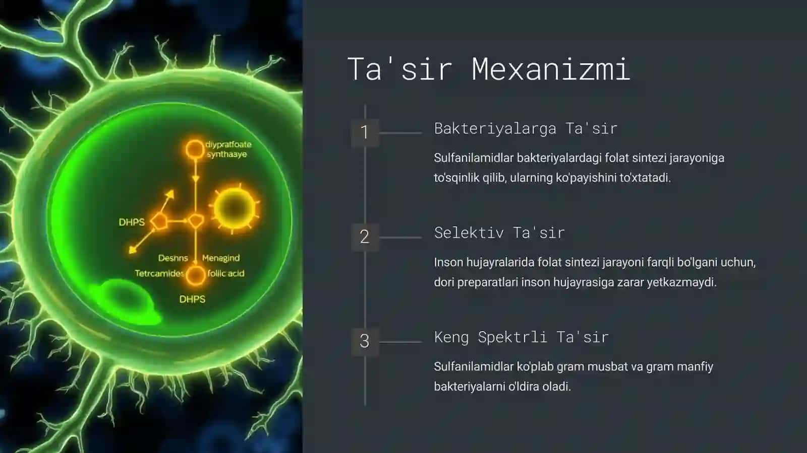 Kombinirlangan Sulfanilamid Preparatlar 3