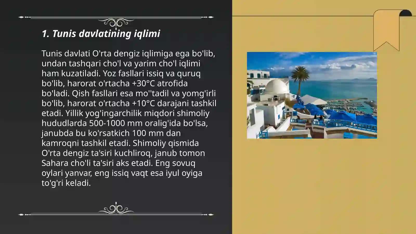 Tunis davlati 3