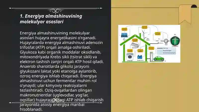 Energiya alamshinuvining boshqarilishi 3