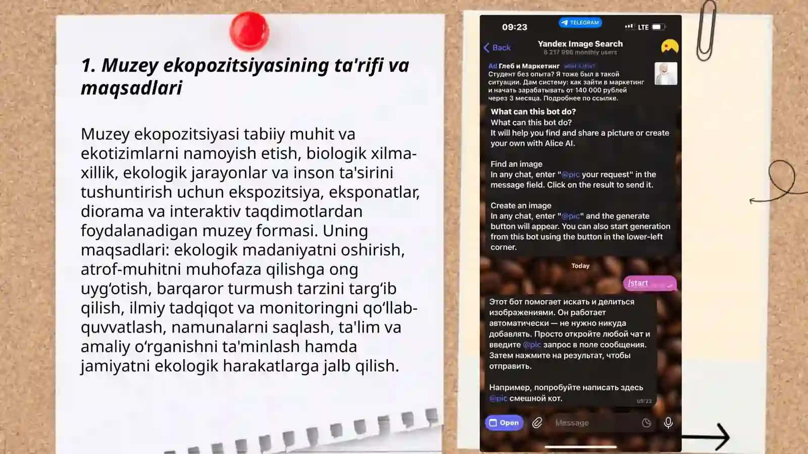 Muzey ekopozitsiyasi 3