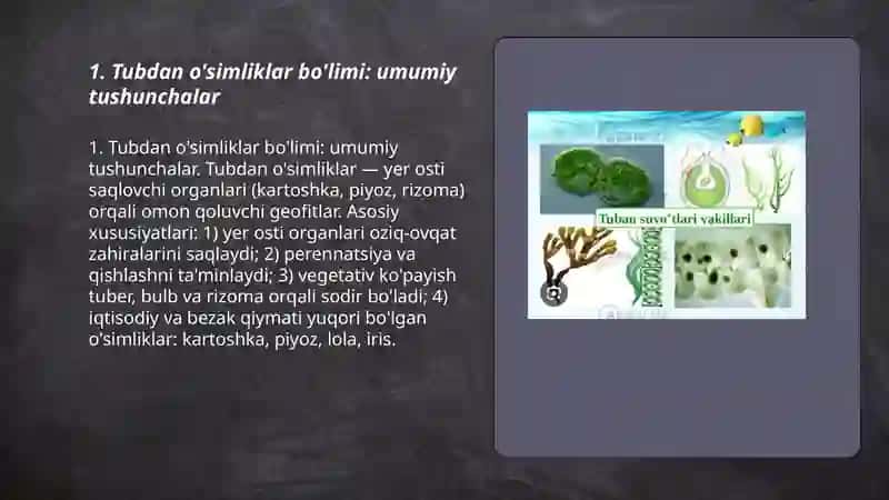 Tubdan o'simliklar bo'limi 3