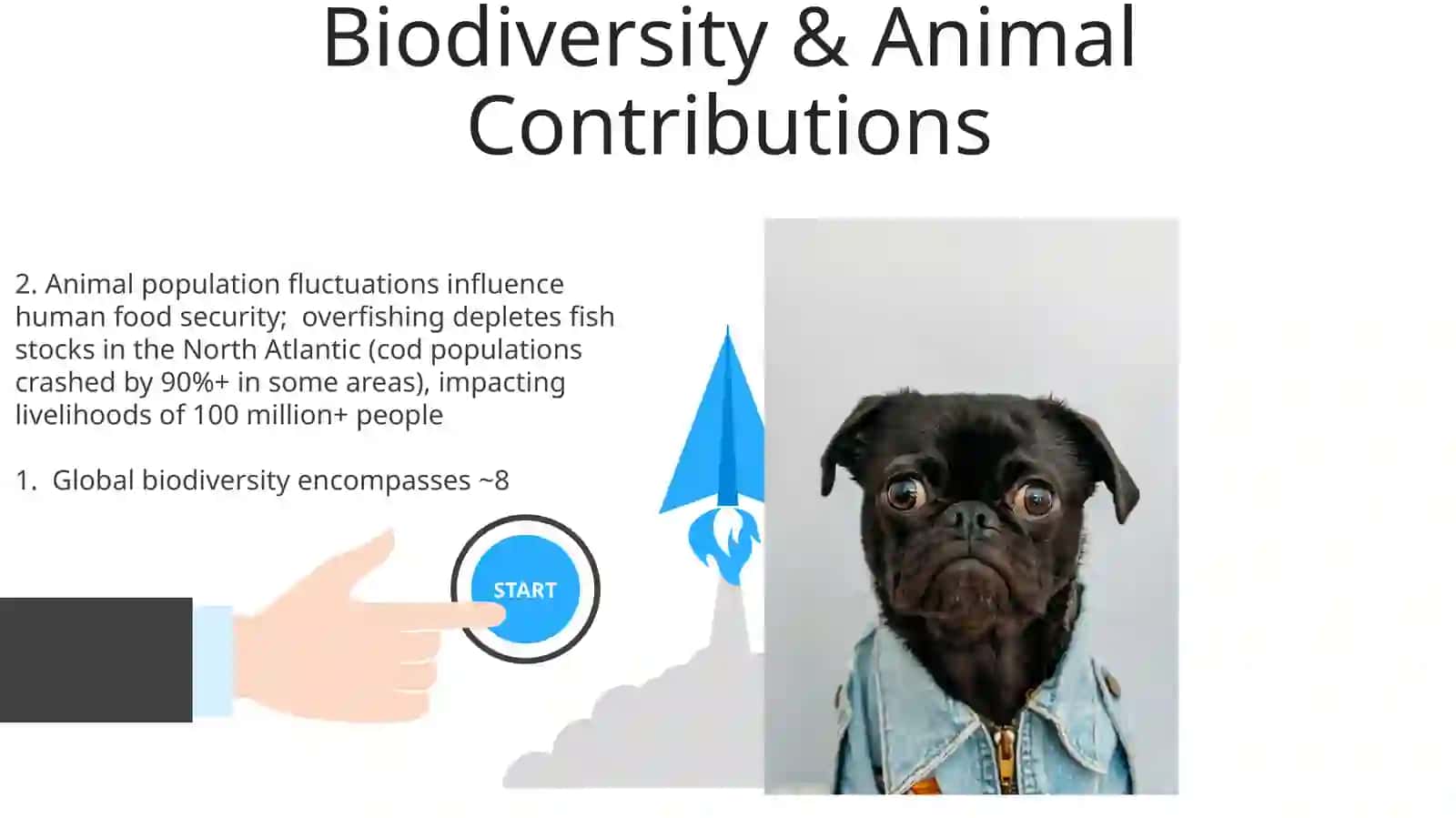 Animal population impacts on human life 3