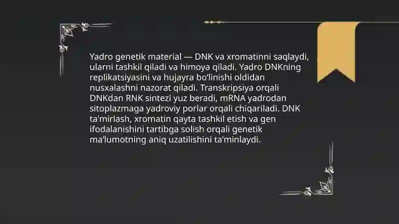 Yadro genetik material va xromatinning roli 3