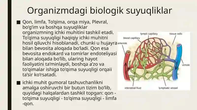 qon fiziologiyasi 3