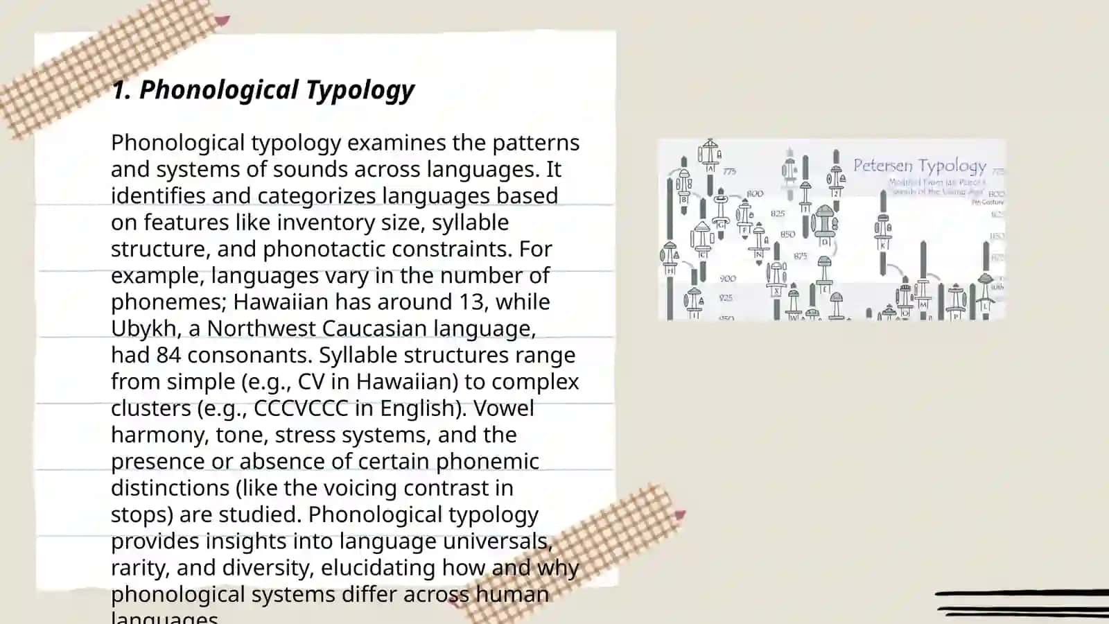 typology of grammatical system in typology 3