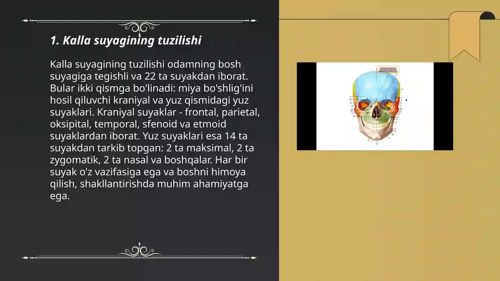 Kalla suyaklari 3
