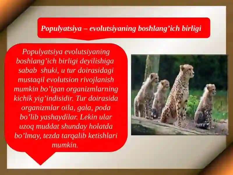 Evolutsiyaning sintetik nazariyasi 3