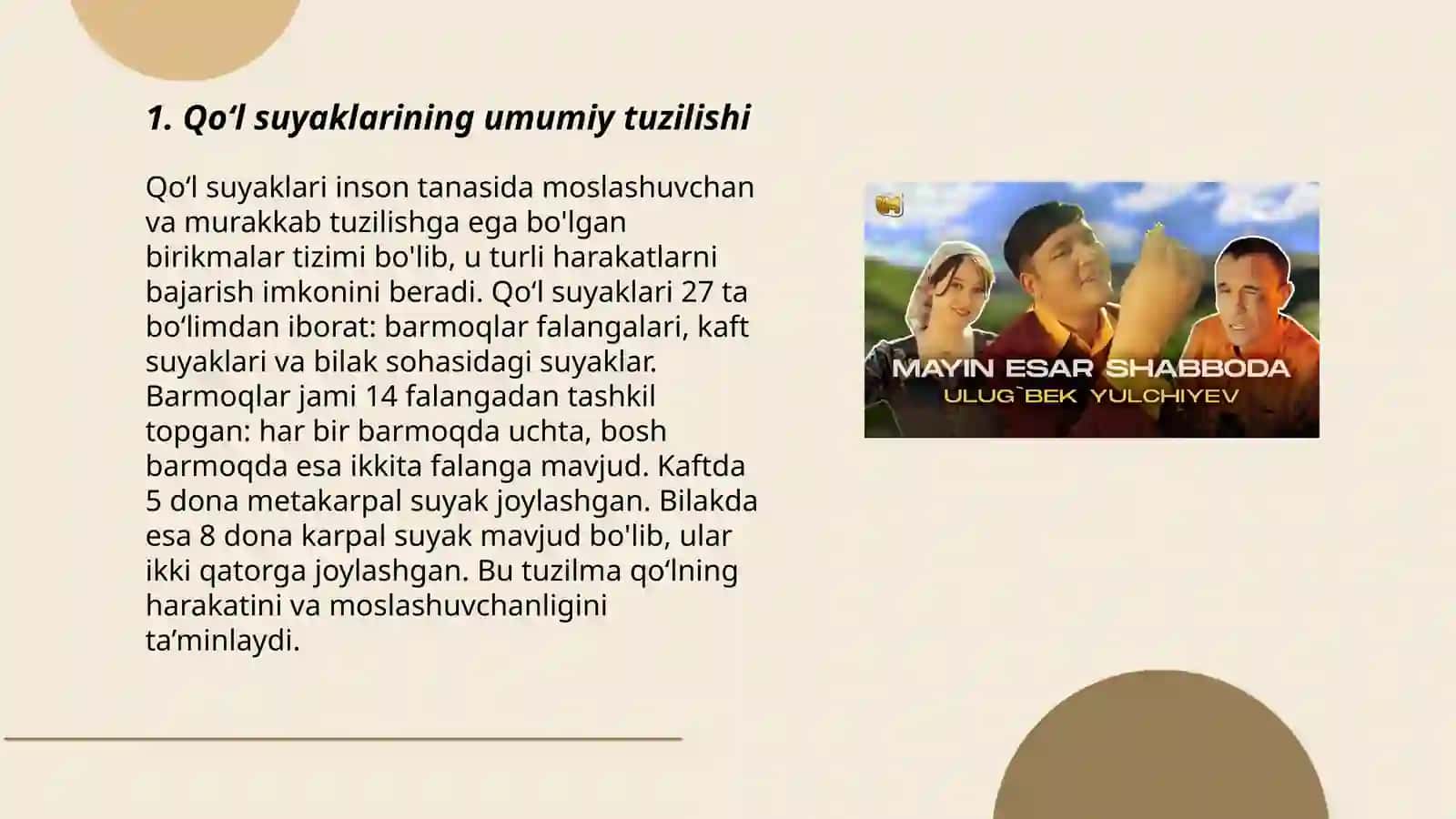 Qoʻlning erkin turgan boʻlimidagi suyaklar 3