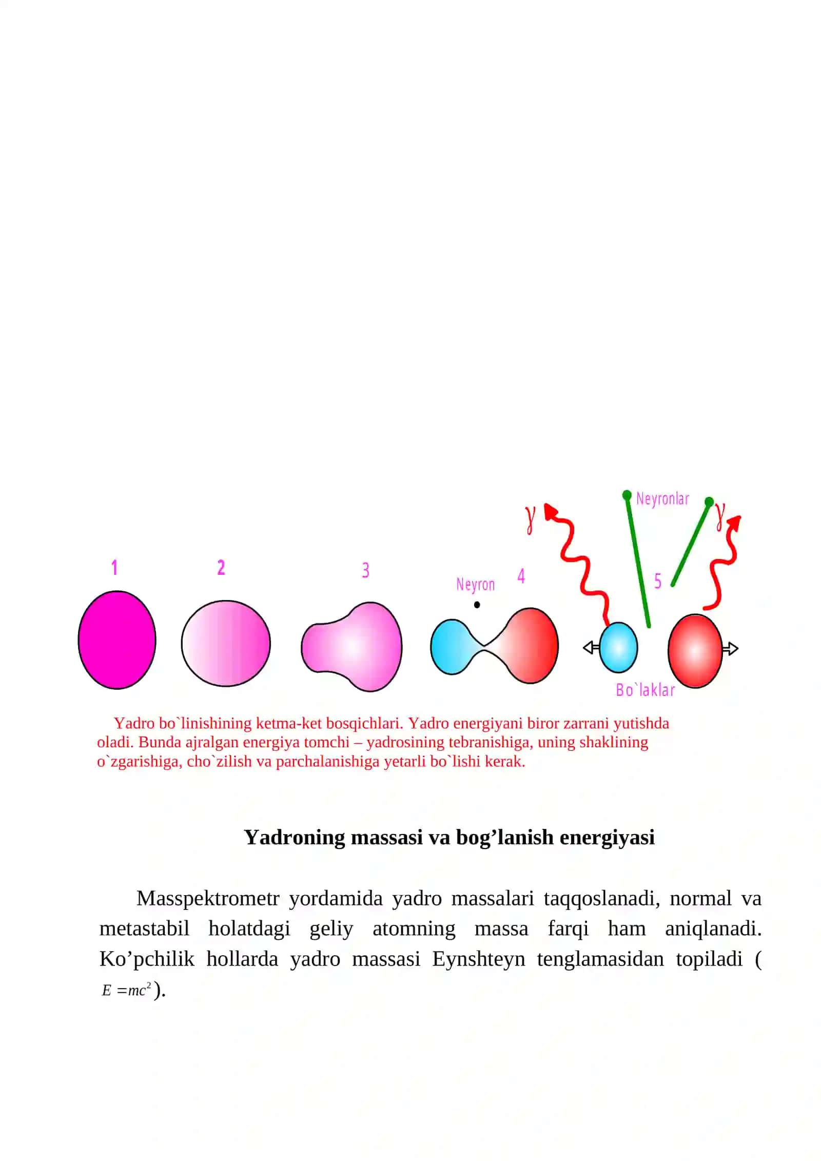 Yadroning tomchi modeli 3