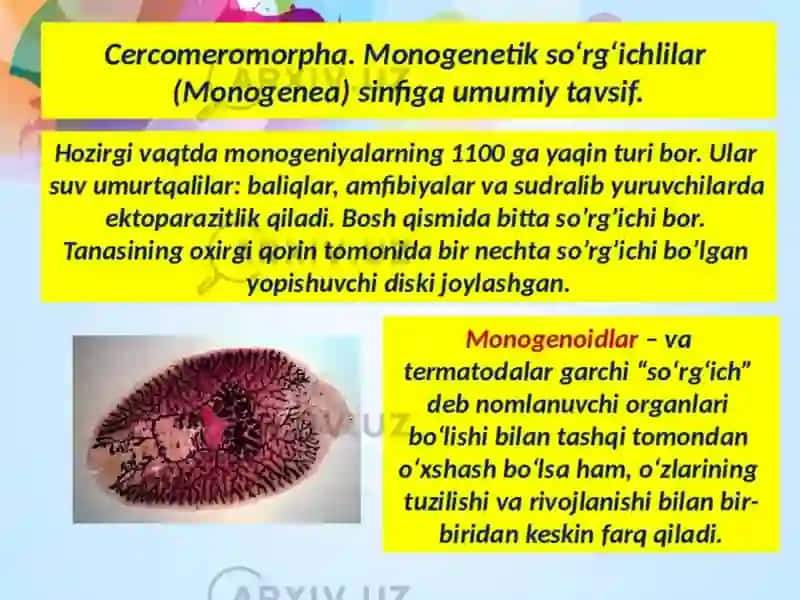 Soʻrgʻichlilar sinfi Jigar qurti 3