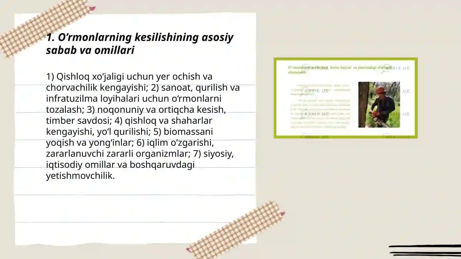 O’rmonlarning kesilishi 3