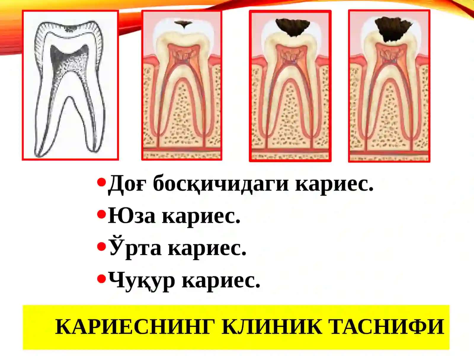 Терапевтик стоматология кафедраси 3