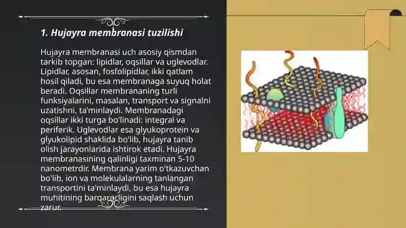 Hujayra membranasi 3