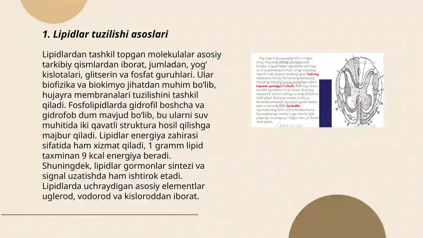 Lipidlar tuzilishi va funksiyalari 3