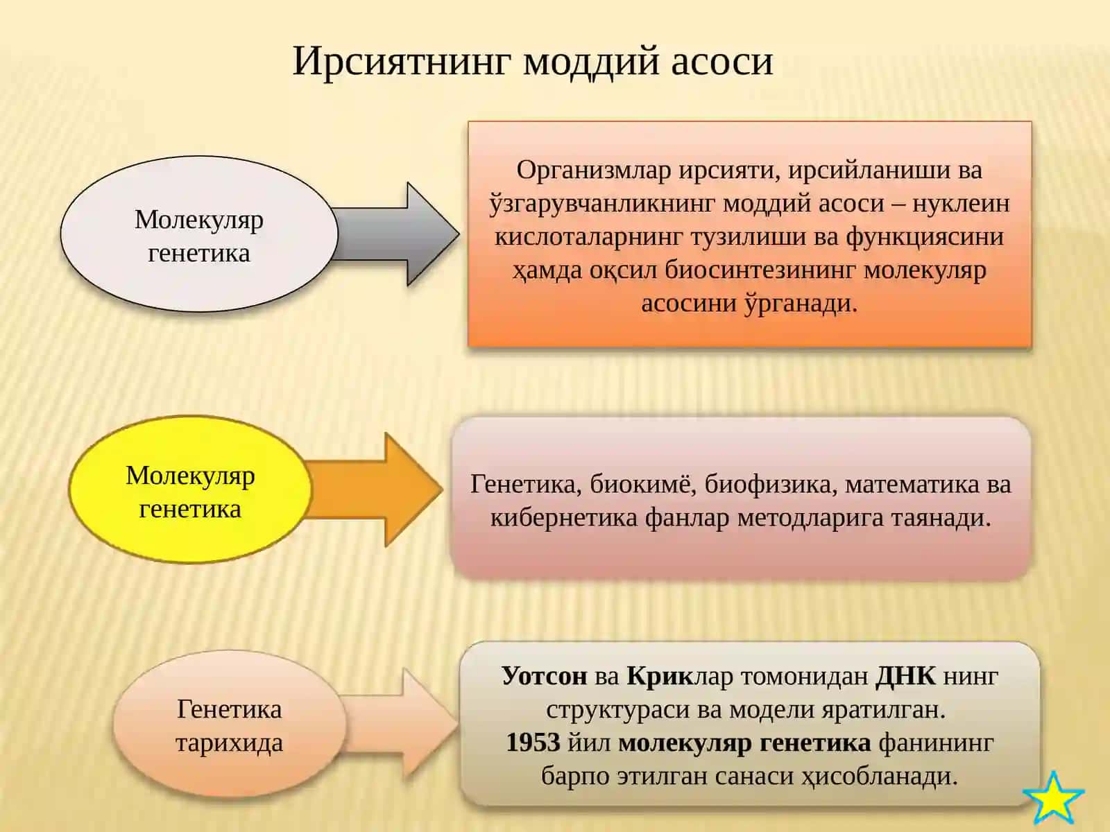 Молекуляр генетика 3