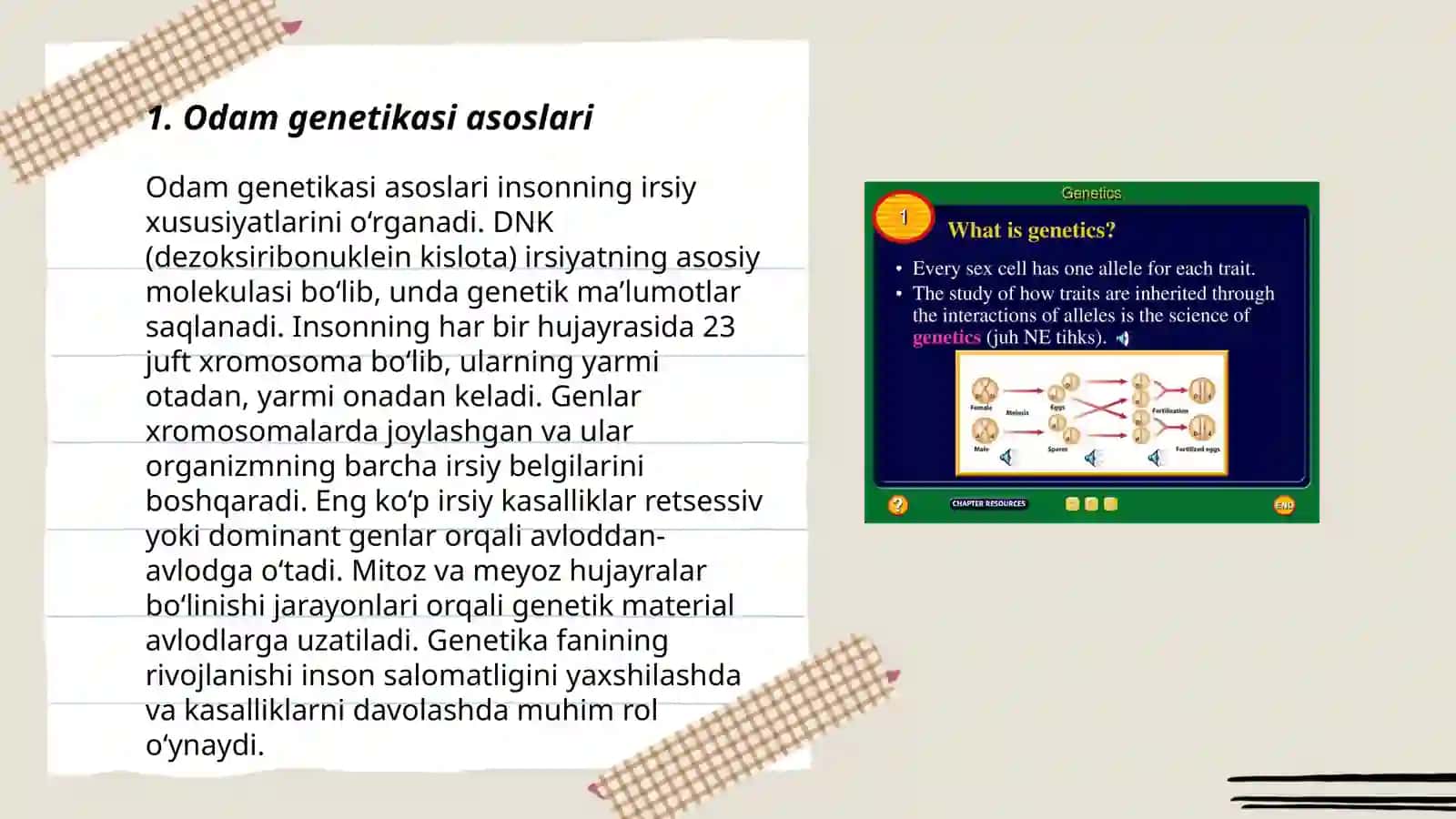 Odam genetikasi va Tibbiy genetika 3