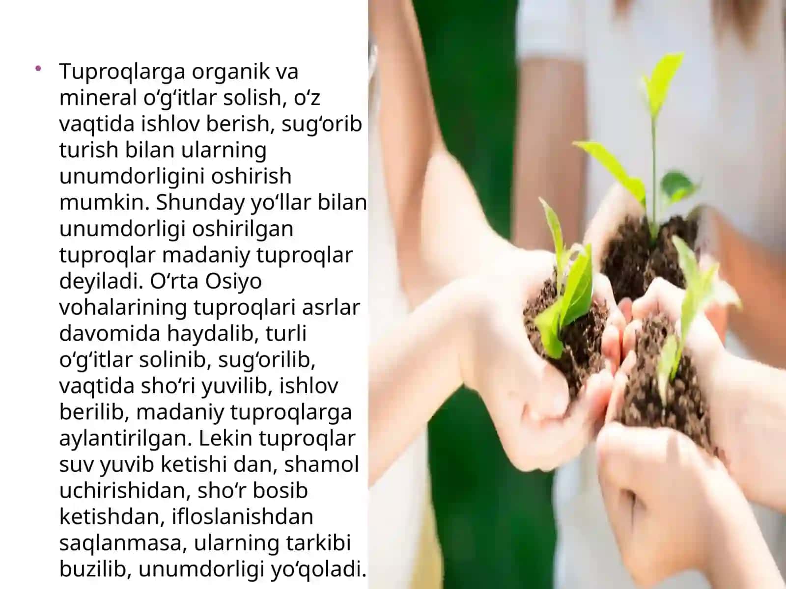 Tuproqni himoya qilish 3