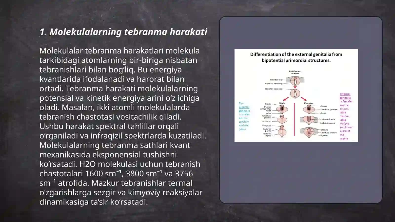 Molekulalarning tebranma harakati spektrlari 3