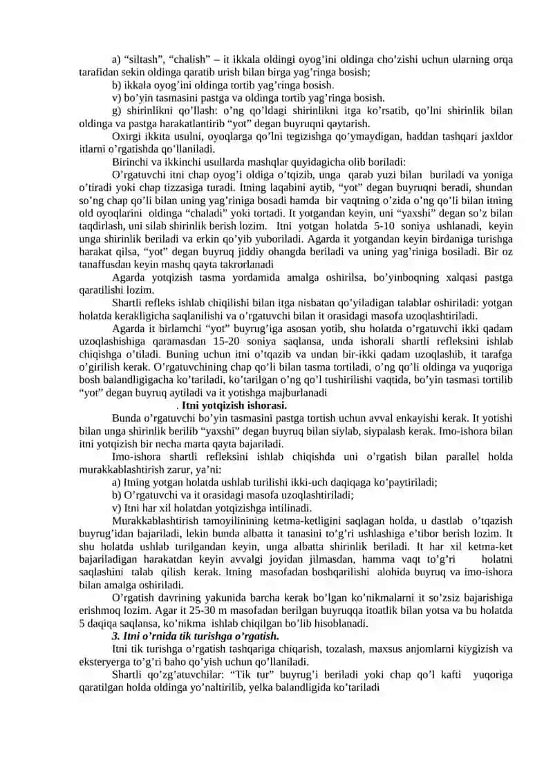 It zotlari 3