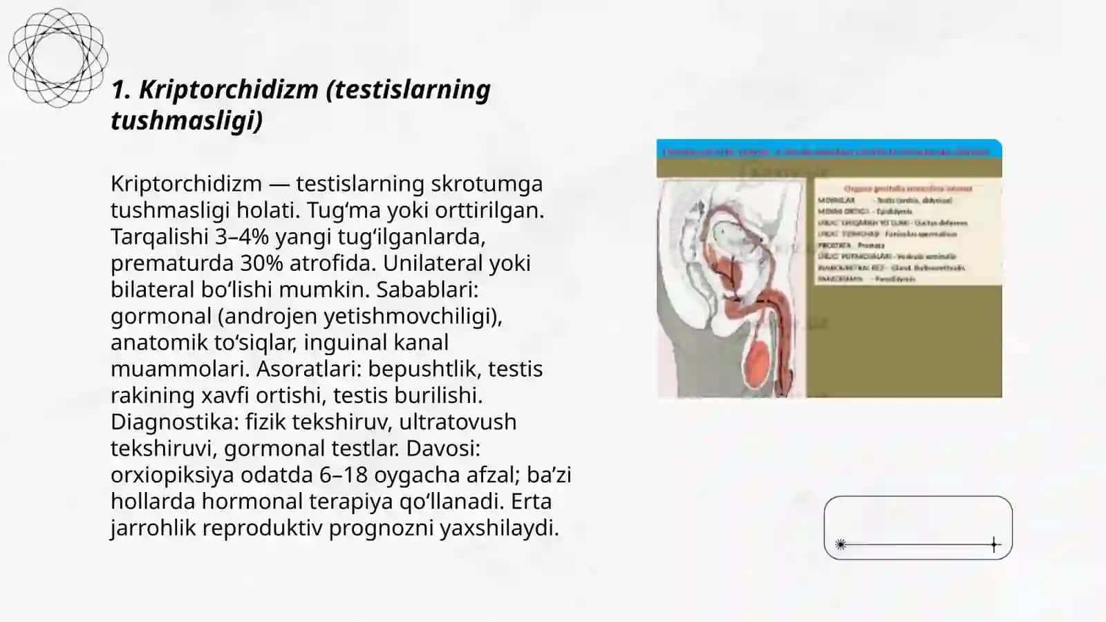 Kriptorchidizm (testislarning tushmasligi) 3