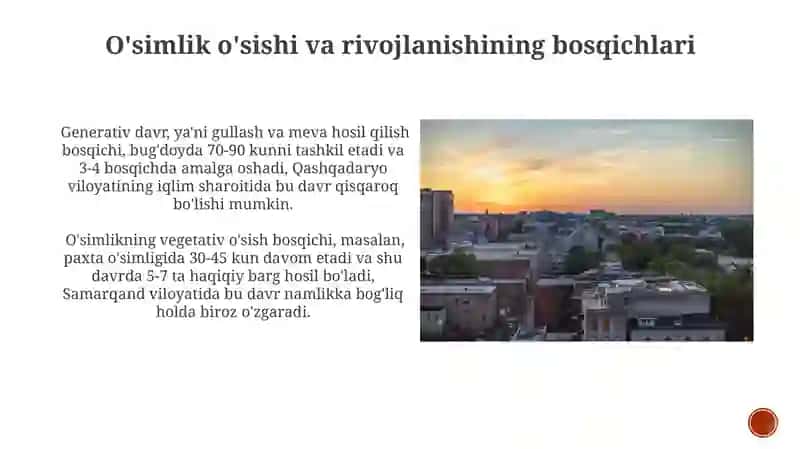 O'simlik O'sishi va Rivojlanishi 3