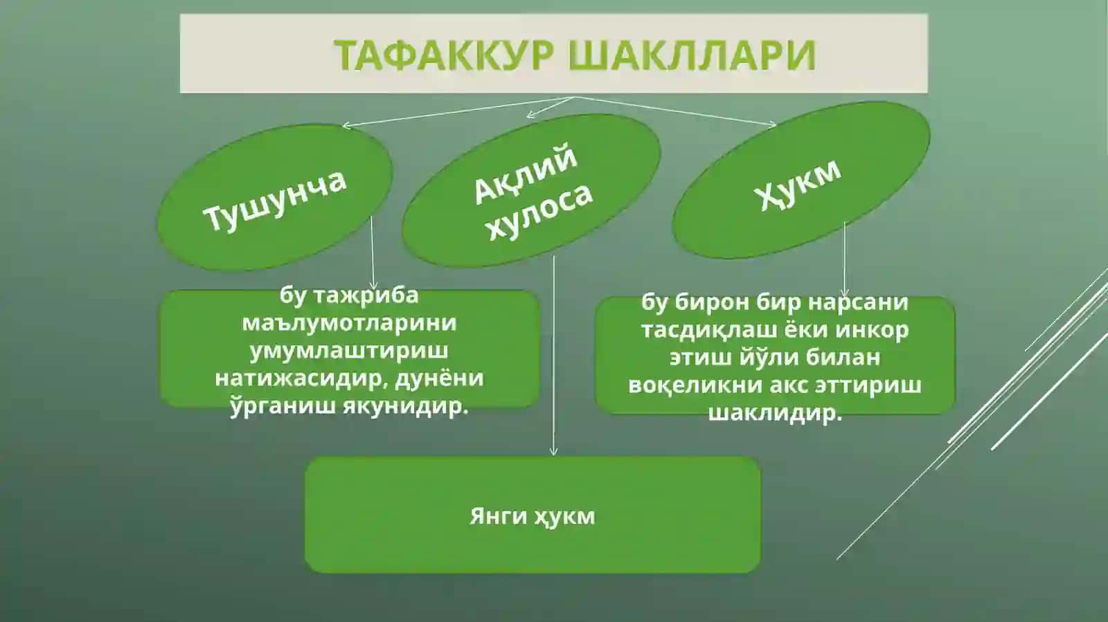 ТАФАККУР ШАКЛЛАРИ: ТУШУНЧА, ҲУКМ, ХУЛОСА 3